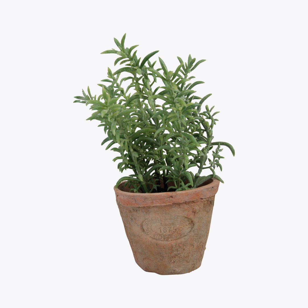 Thyme in Pot Doormat Designs